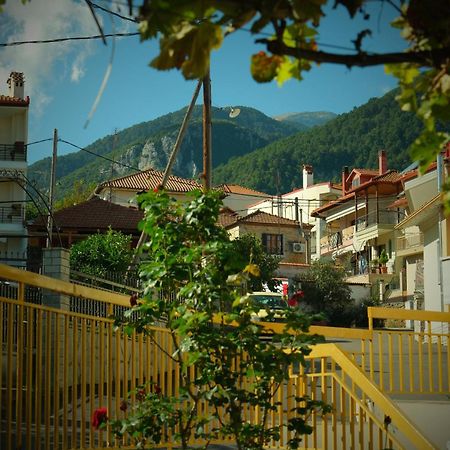 Villa Philia - Olympus Litochoro Exteriér fotografie